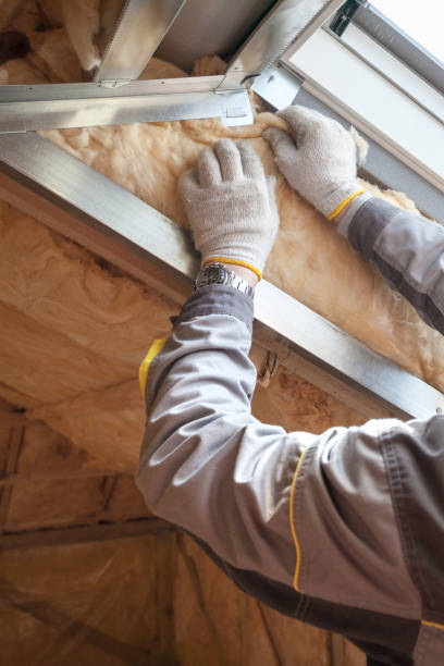 Best Insulation Maintenance and Repair in Gibbon, NE